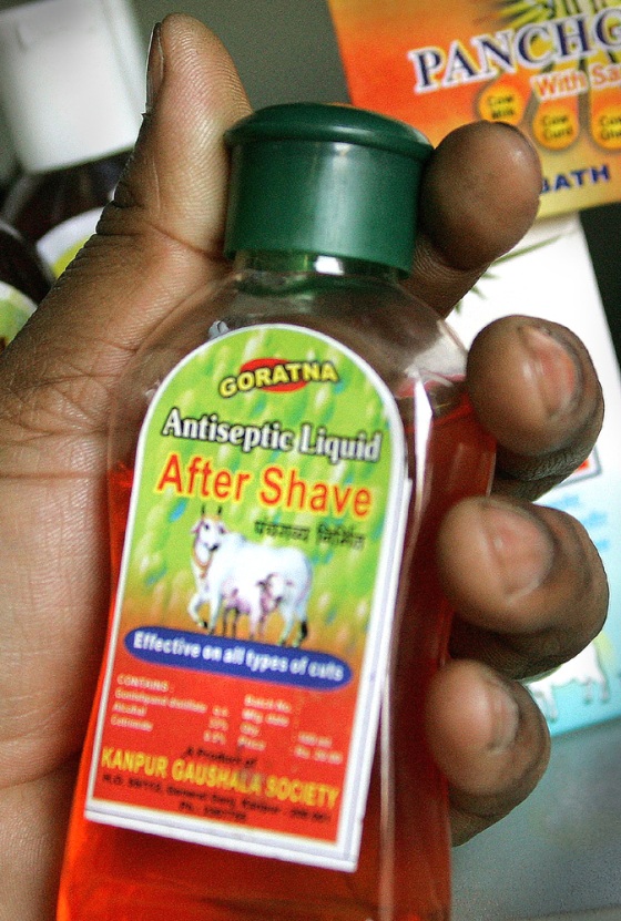 To accompany feature Odd-India-Cows